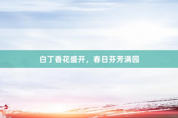 白丁香花盛开，春日芬芳满园